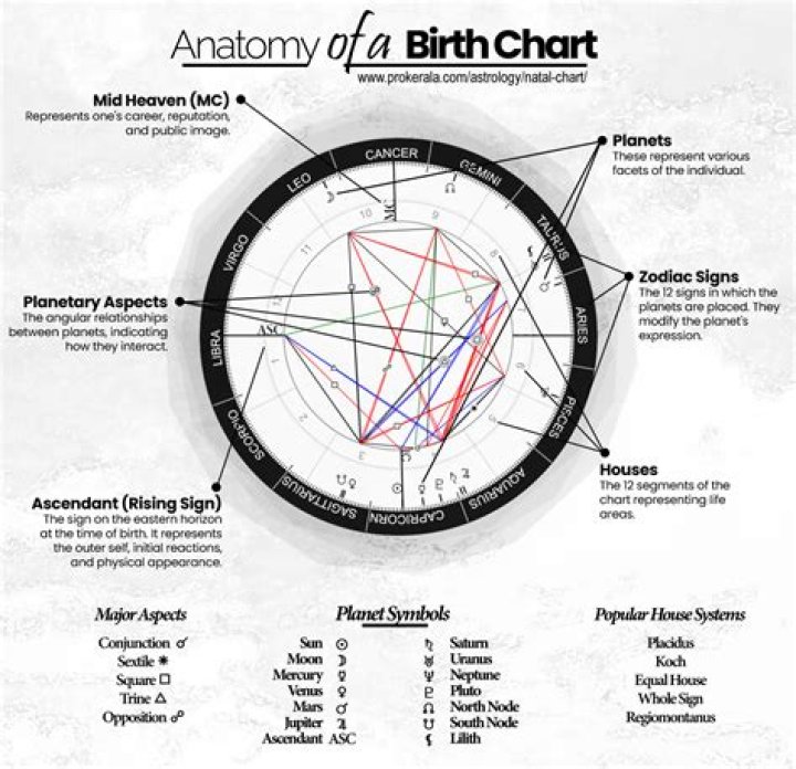 Astrology Birth Chart of Raine Michaels (Model) 2024
