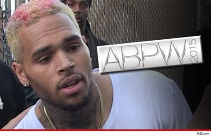 Chris Brown Ethers TMZ Over Gay Pride Weekend Headline