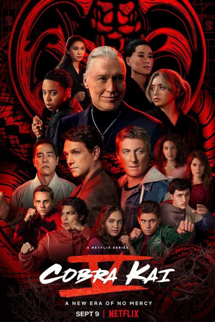 آیا فصل پنجم Cobra Kai آخرین فصل است؟