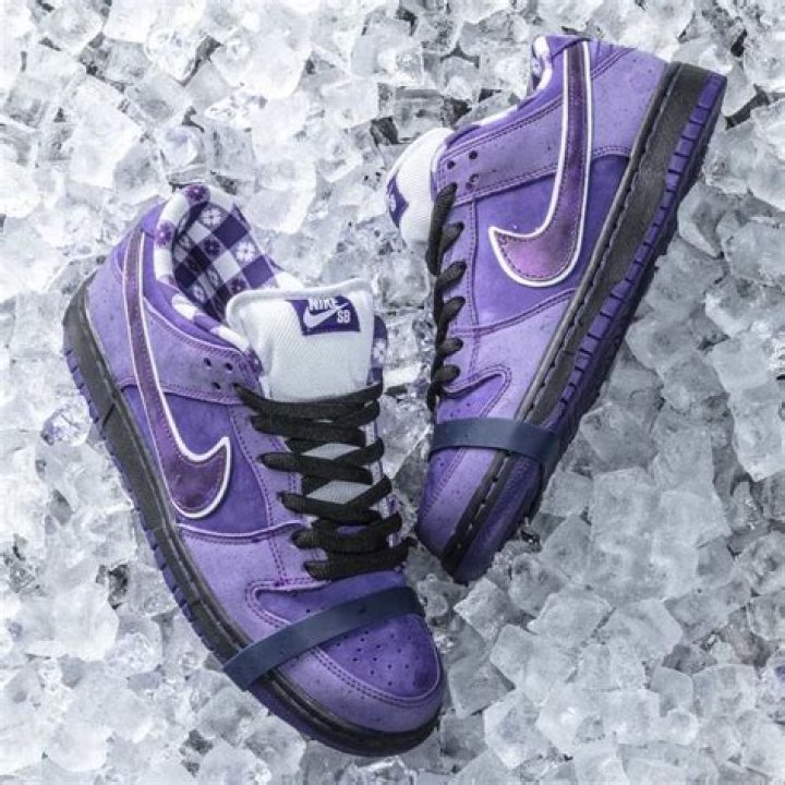 Concepts x Nike SB Dunk Low “Purple Lobster” Revealed: Release Details