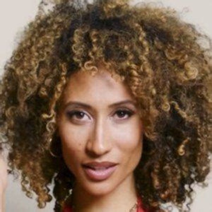 Elaine Welteroth Bio, Wiki, Age, Height, Husband, Family, Net Worth and Book