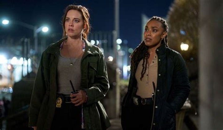 ¿Es la ley y el orden en Netflix 2020? – Celebrity.fm