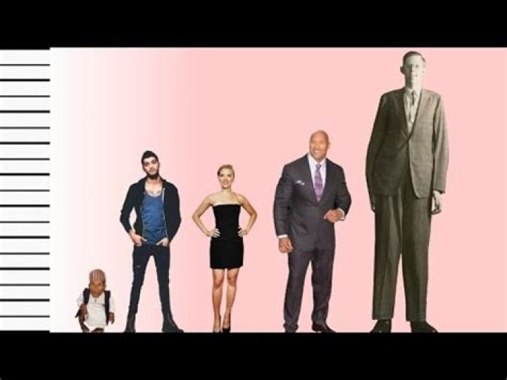 How tall is Zayn Malik