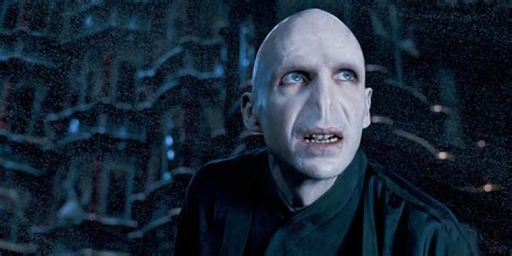 Is Eric Idle in Harry Potter?