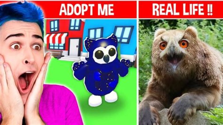 Jeffo Roblox (YouTube Star) - Age, Birthday, Bio, Facts, Family, Net Worth, Height & More