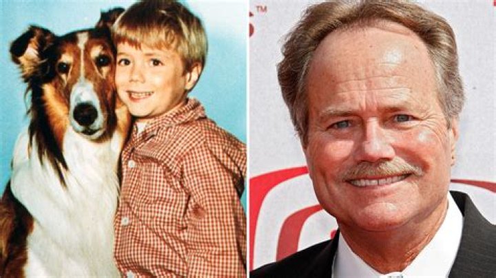 Jon Provost (TV Actor) - Age, Birthday, Bio, Facts, Family, Net Worth, Height & More