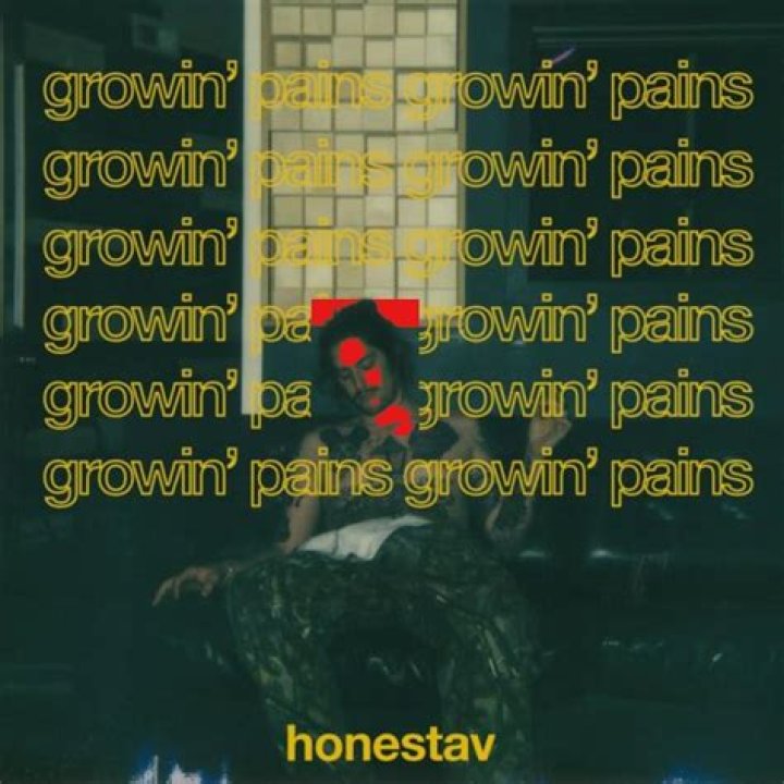 Ludacris’s
Growing Pains Lyrics