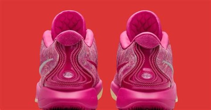 Nike LeBron 21 “Pink Multi