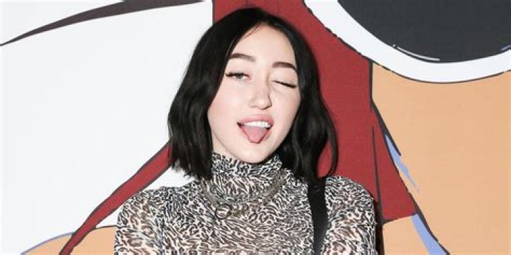 Noah Cyrus Shuts Down Body Shamer Who Commented on Her Chest Size With Savage Response