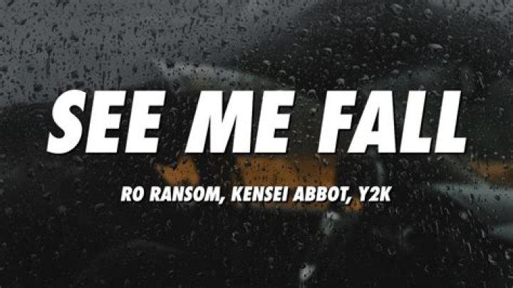 See Me Fall