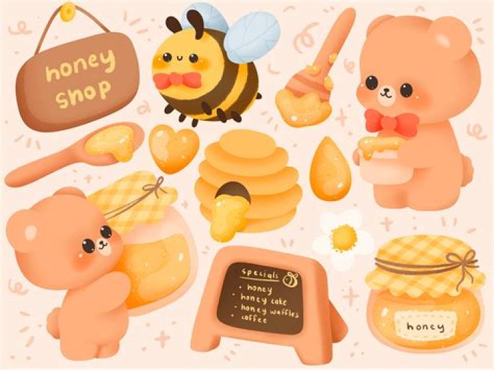 What is Honey Bears net worth?