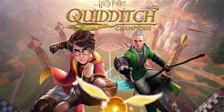 What were the Quidditch teams in Harry Potter?