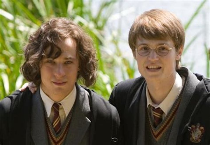 Who are the shapeshifters in Harry Potter?