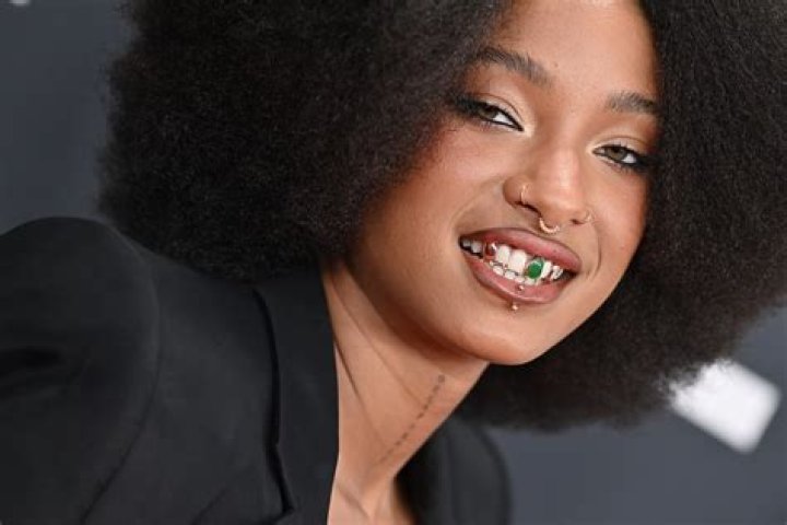 Willow Smith Always Sizzles in Any Bikini She Wears! See the Actress and Artist’s Swimsuit Photos